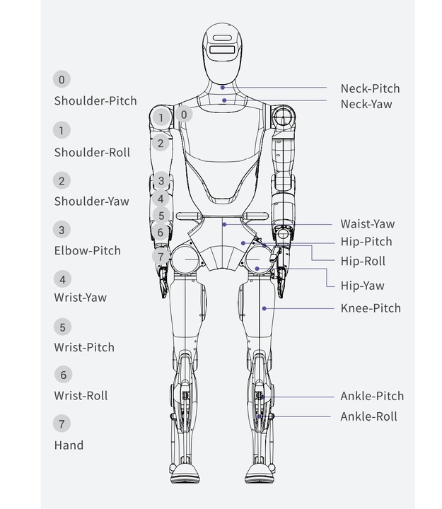 Fourier GR-2